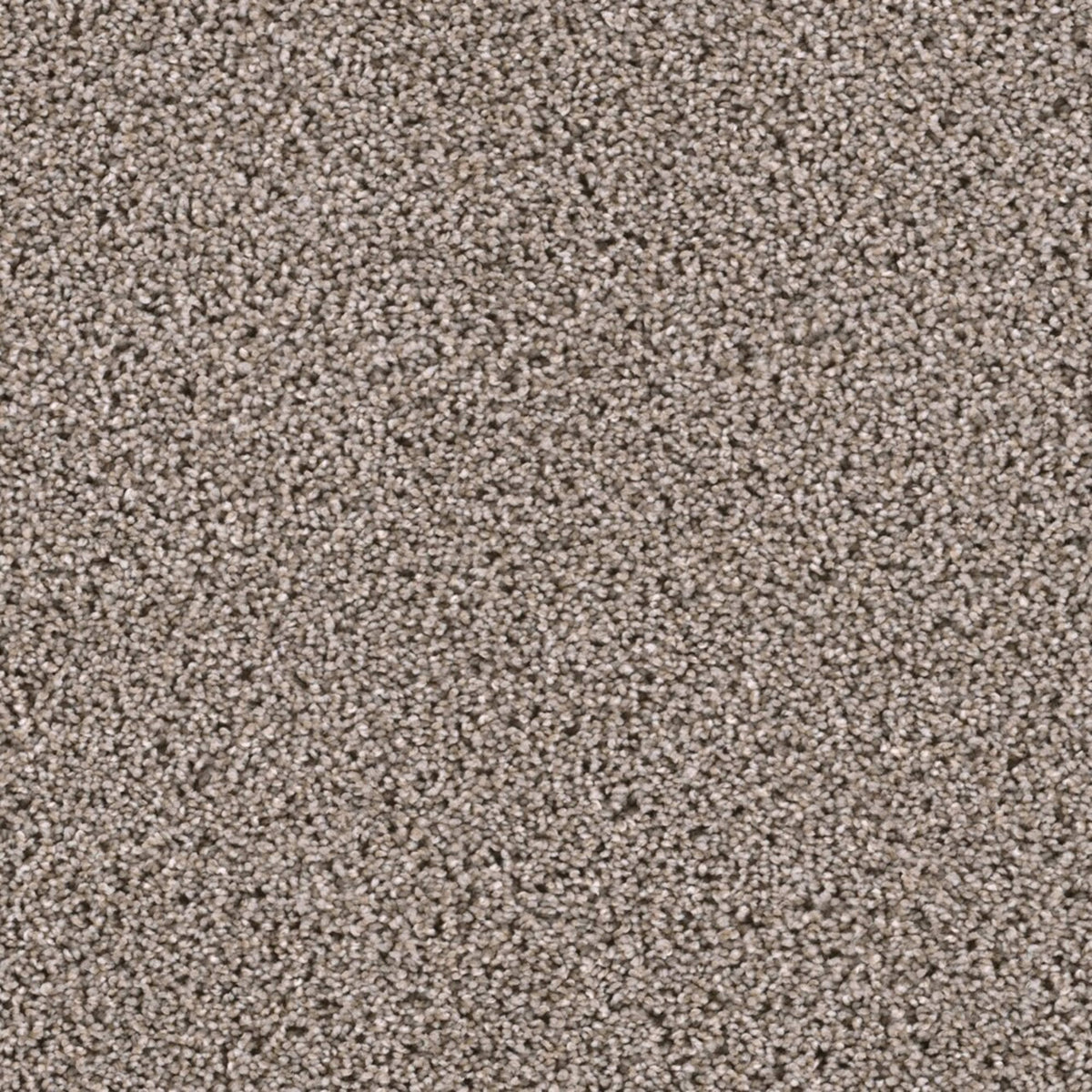 Lustrio I
