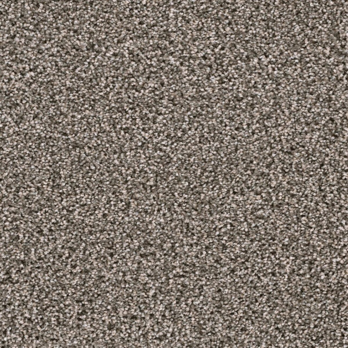 Lustrio II in New Haven Carpet