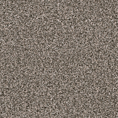 Lustrio II in New Haven Carpet