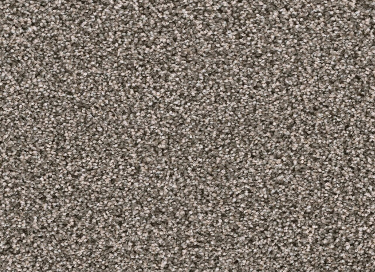 Lustrio II