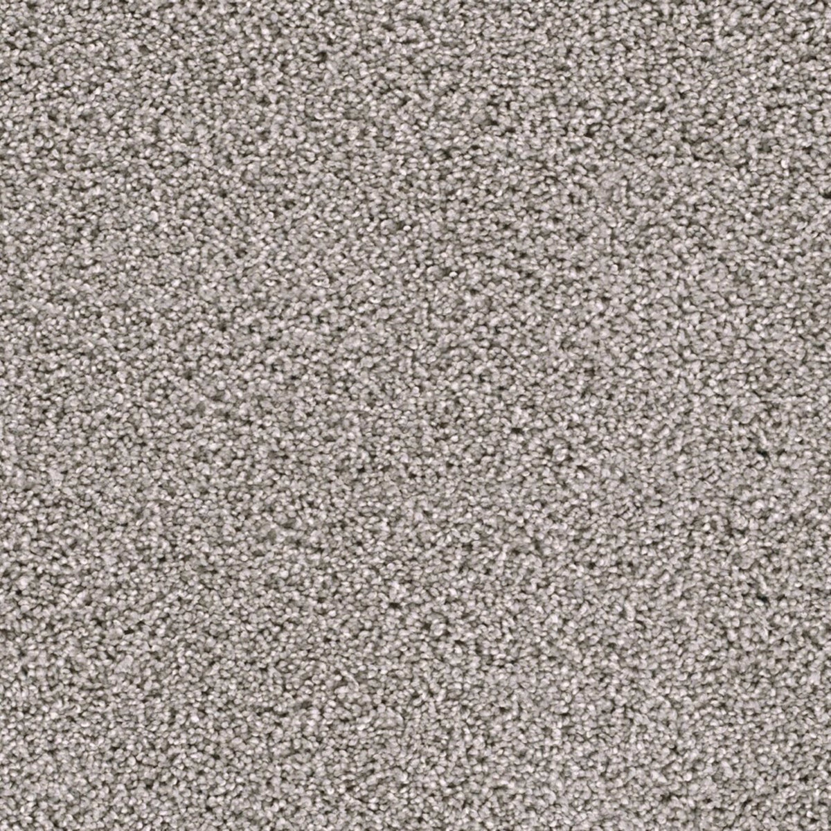 Lustrio II