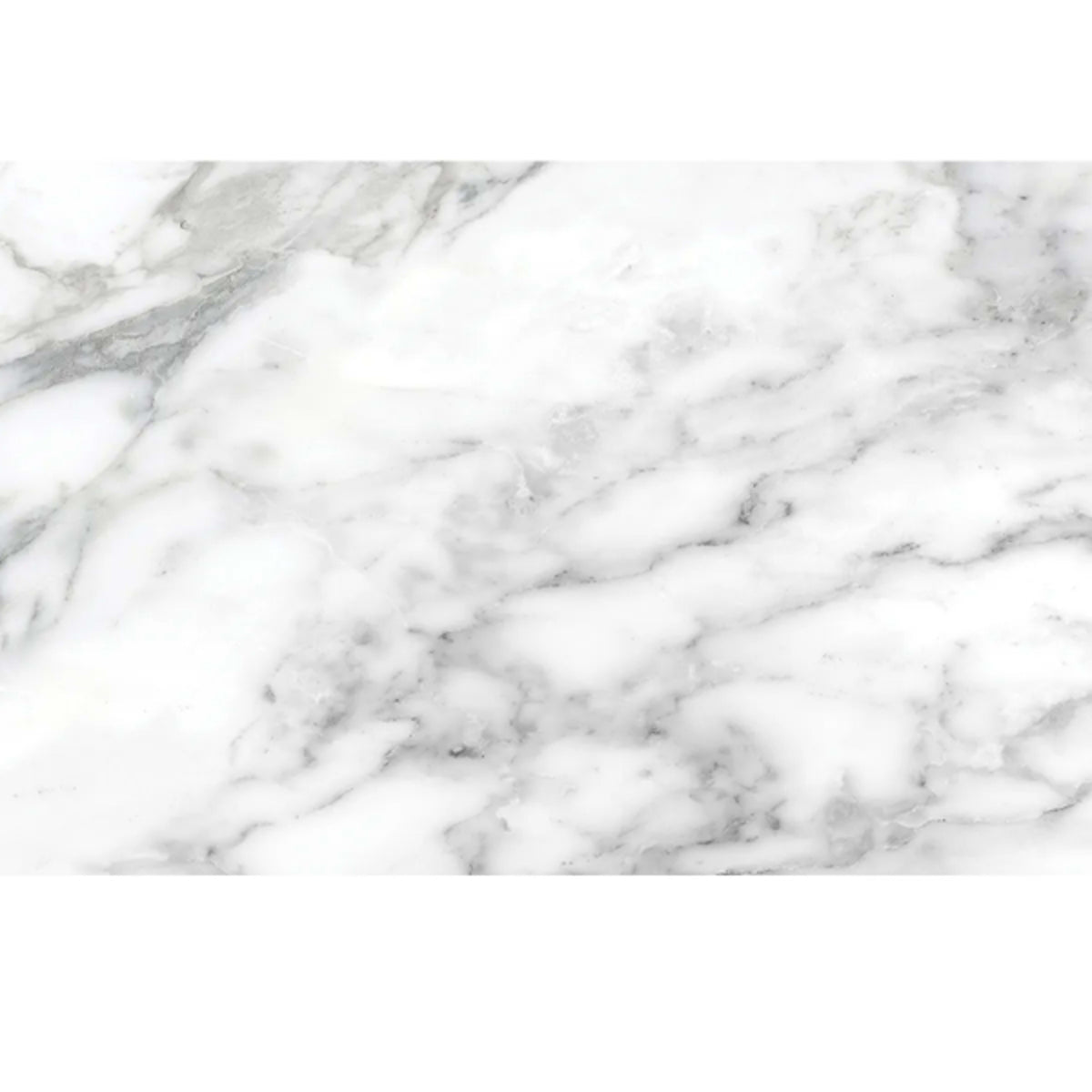 La Marca in Arabescato 12x24 - Polished Tile