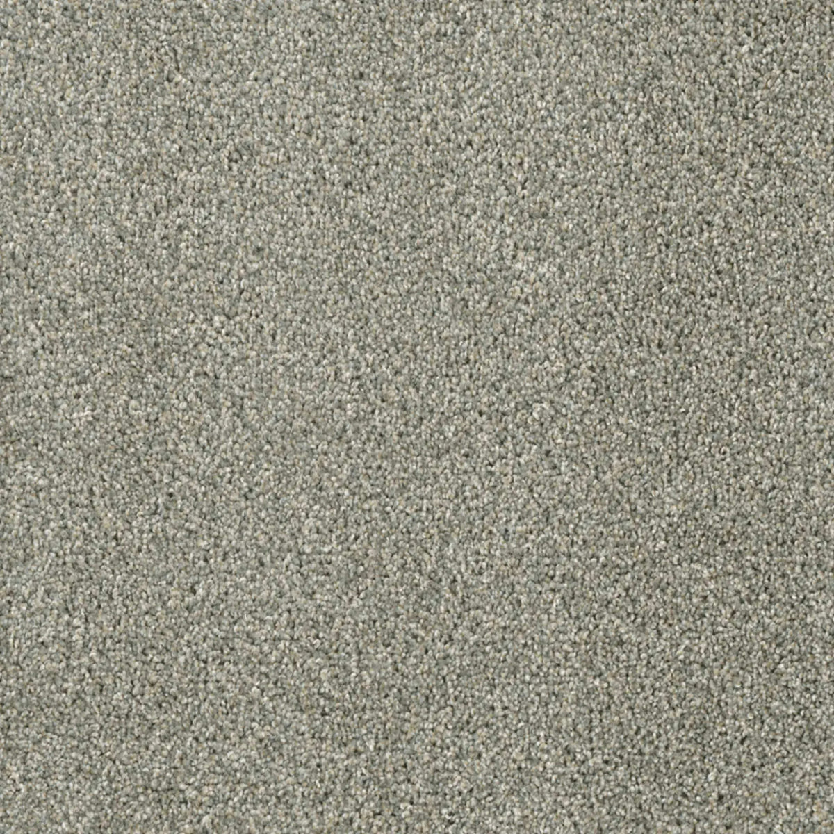 Acclaim in Sandy Trail Carpet