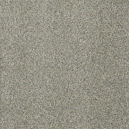 Acclaim in Sandy Trail Carpet
