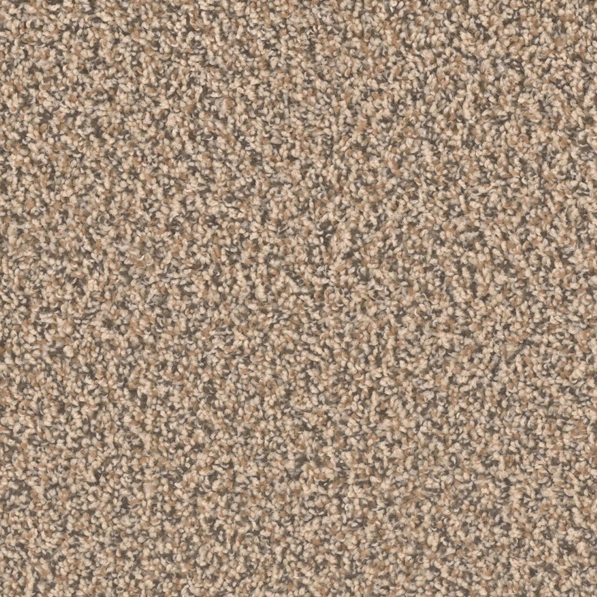 Ascend in Ironside Carpet