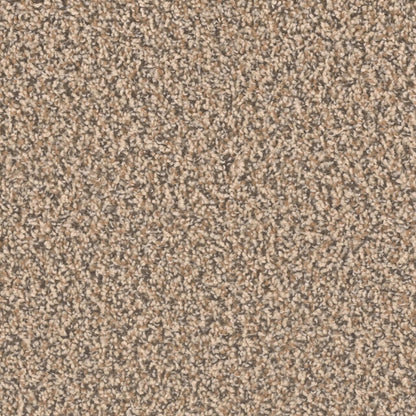 Ascend in Ironside Carpet