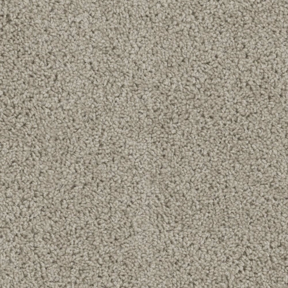 Alpine in Flax Beige Carpet