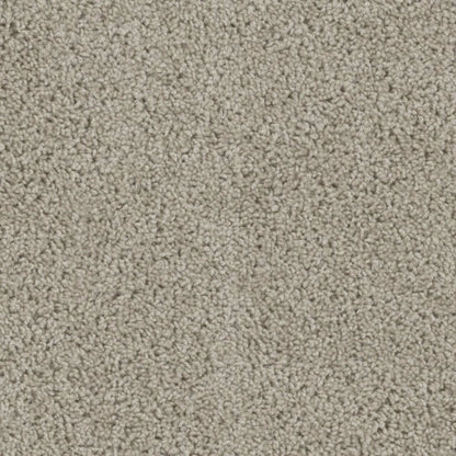 Alpine in Flax Beige Carpet