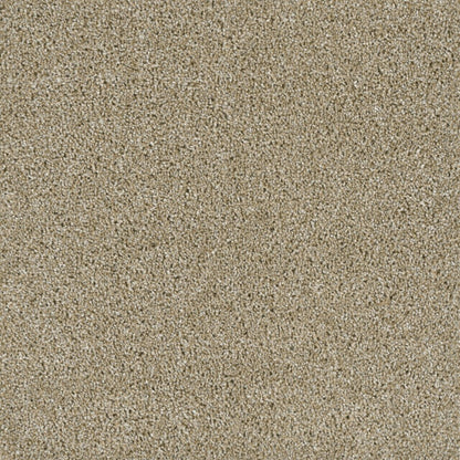 Accolade in Outback Carpet