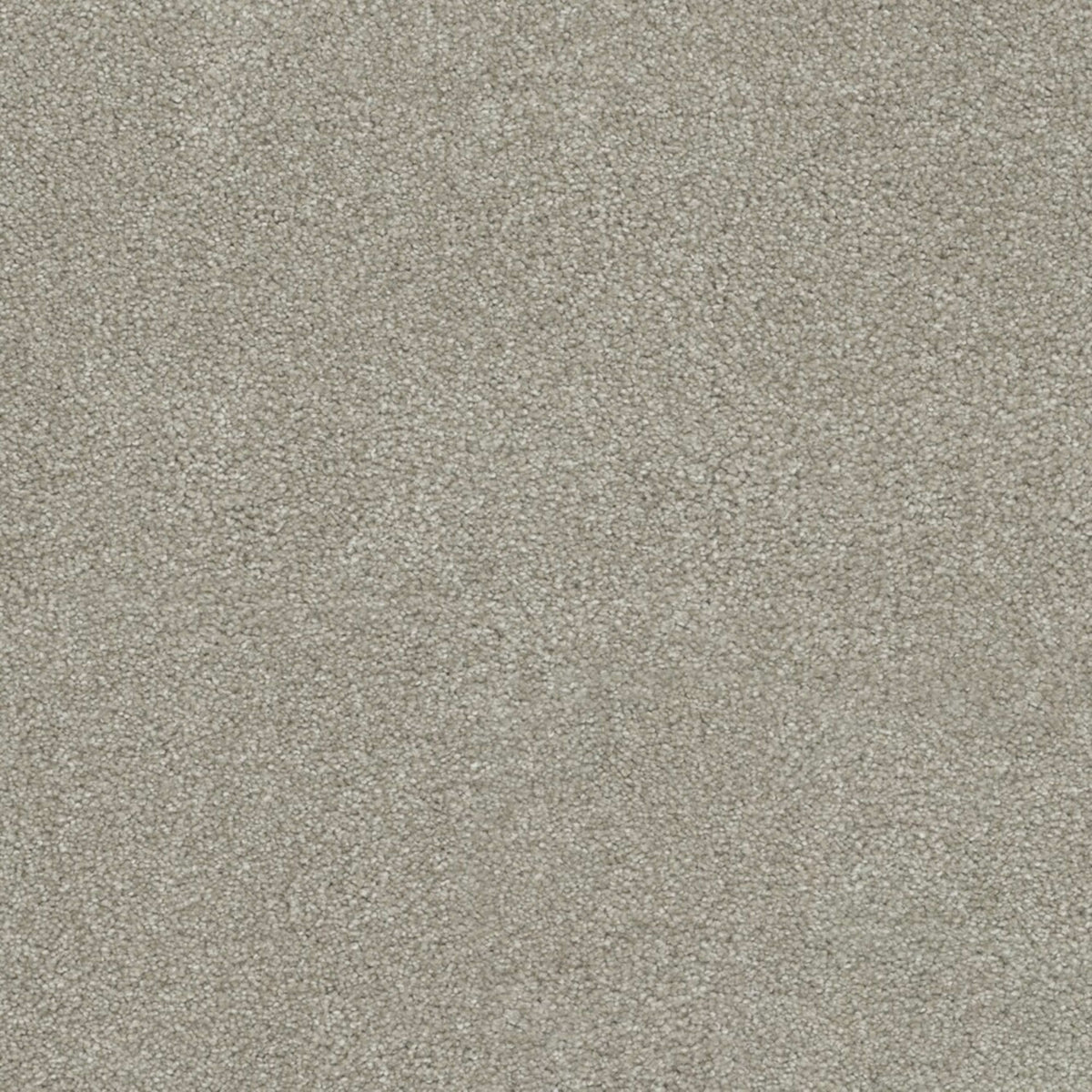 Coronado I