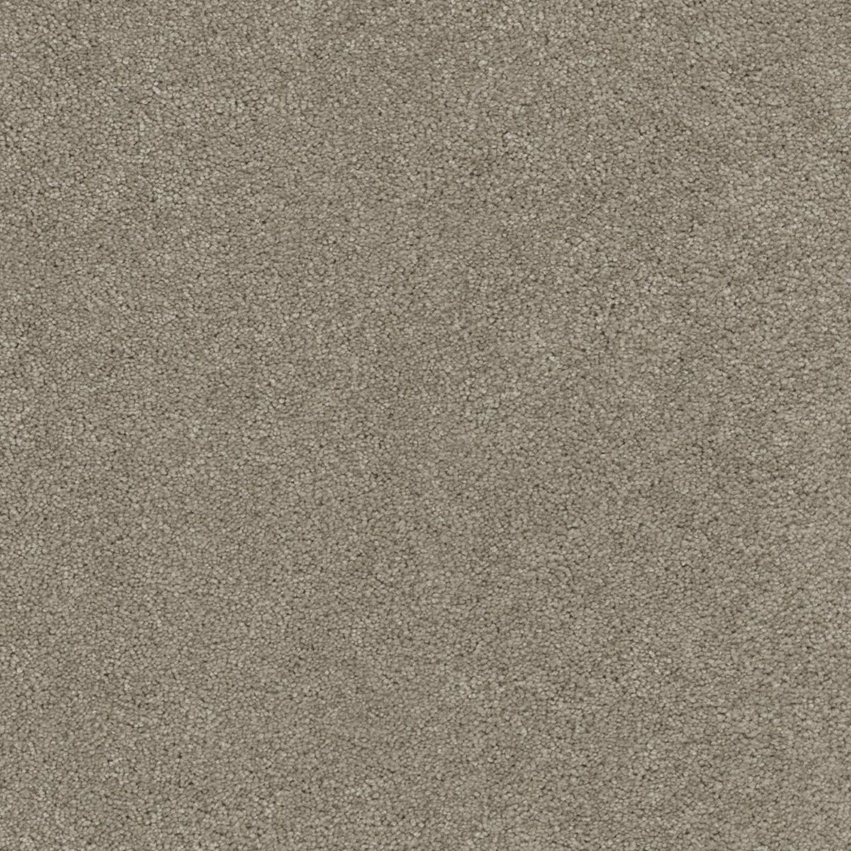 Coronado I in Warm Teak Carpet