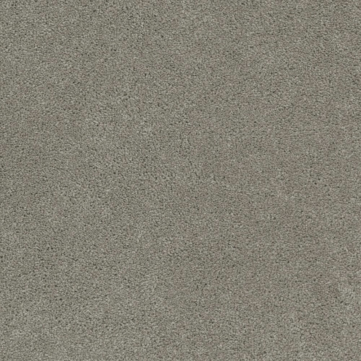 Coronado I