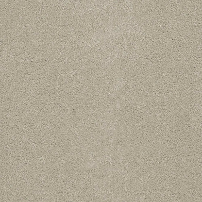 Coronado III in Ivory Carpet
