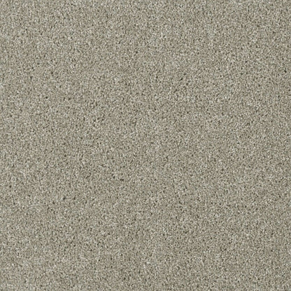 Tigris in Jet Stream Carpet