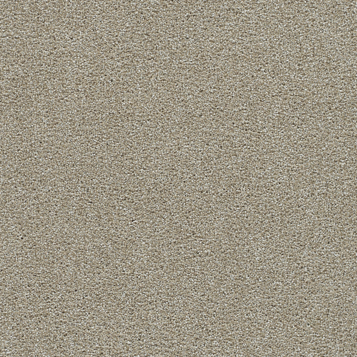 Clearwater I in Wonder Carpet