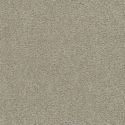 Clearwater I in Wonder Carpet