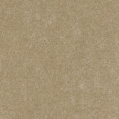 Laramie I