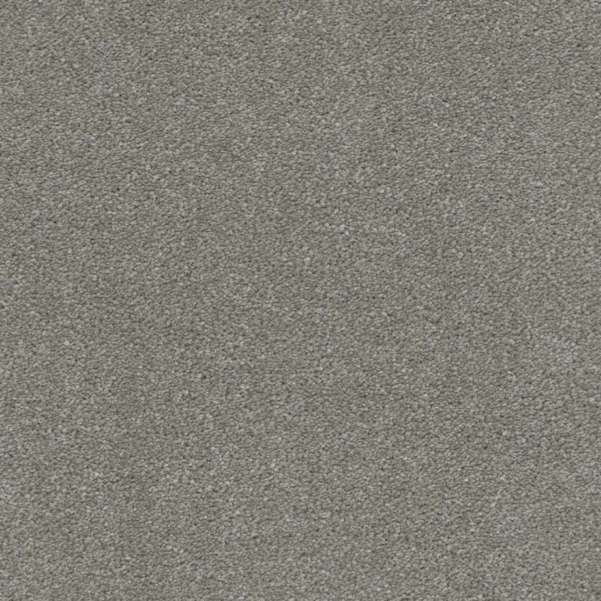 Laramie I in Moonshine Carpet
