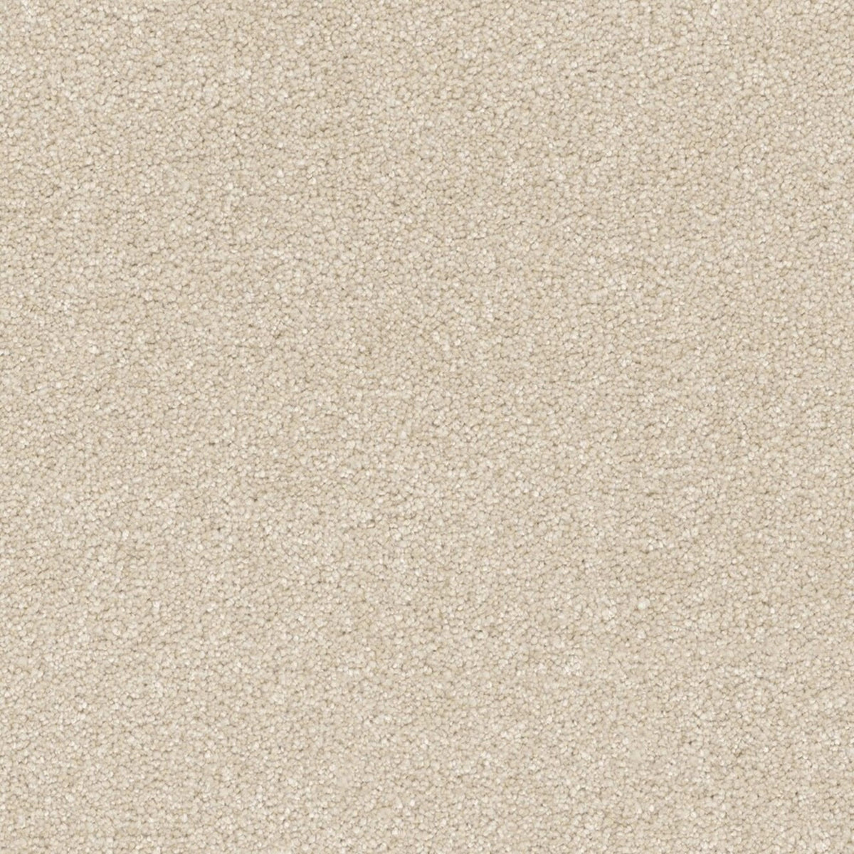 Laramie II in Feather Soft Carpet