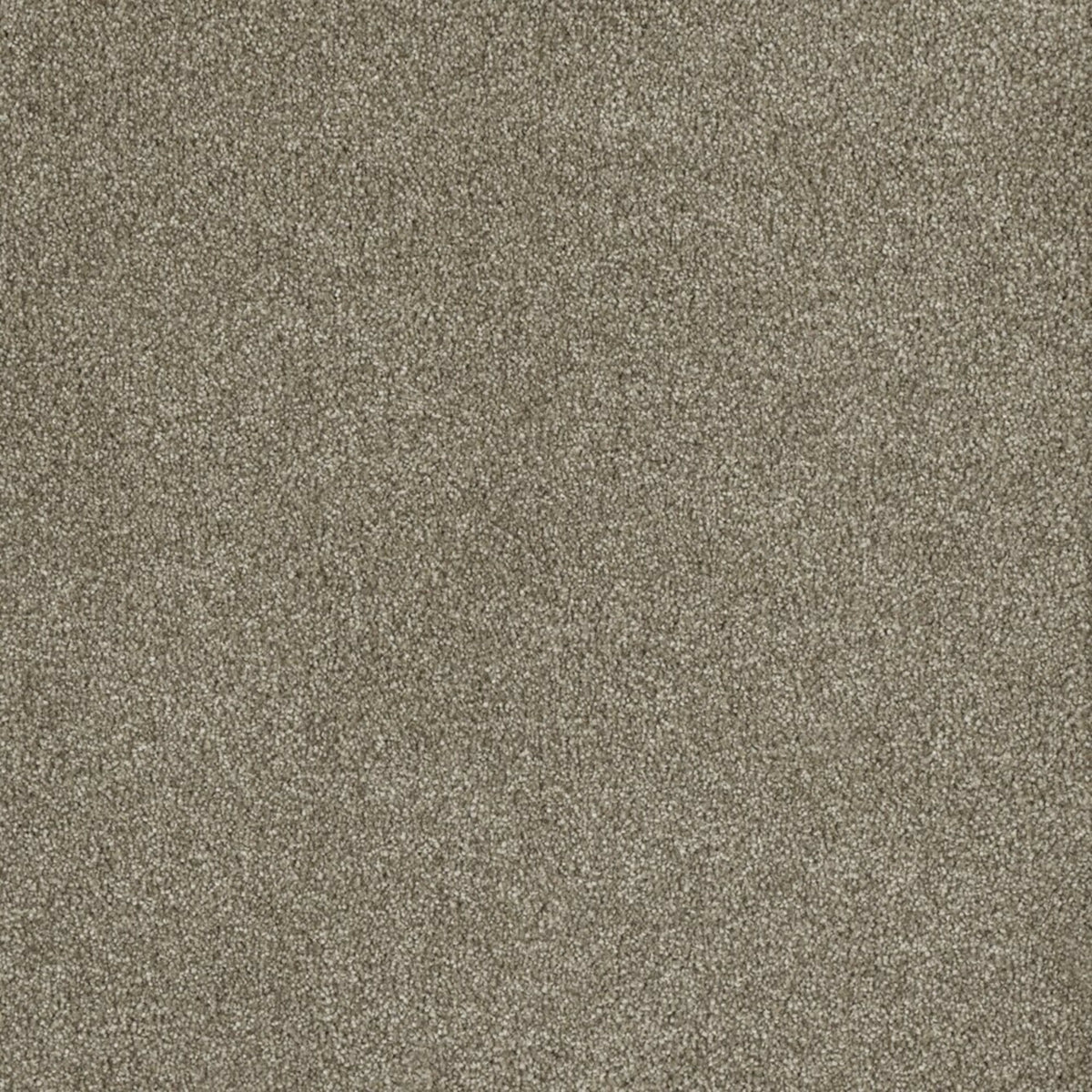 Newport I in Garden Rock Carpet