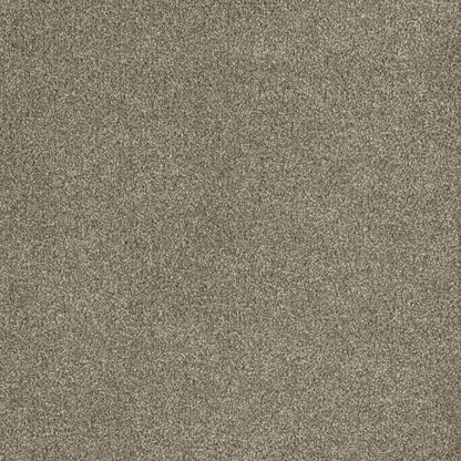 Newport I in Garden Rock Carpet