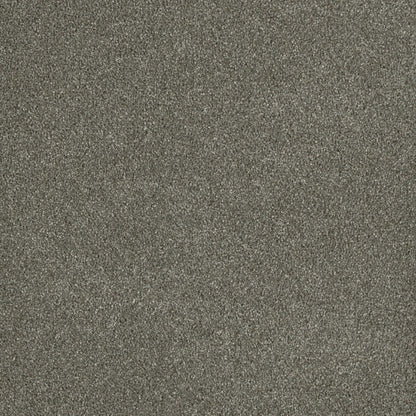 Newport II