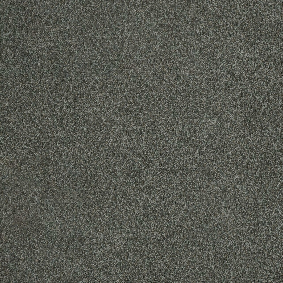 Newport II in Pavilion Carpet