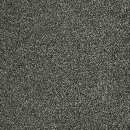 Newport II in Pavilion Carpet