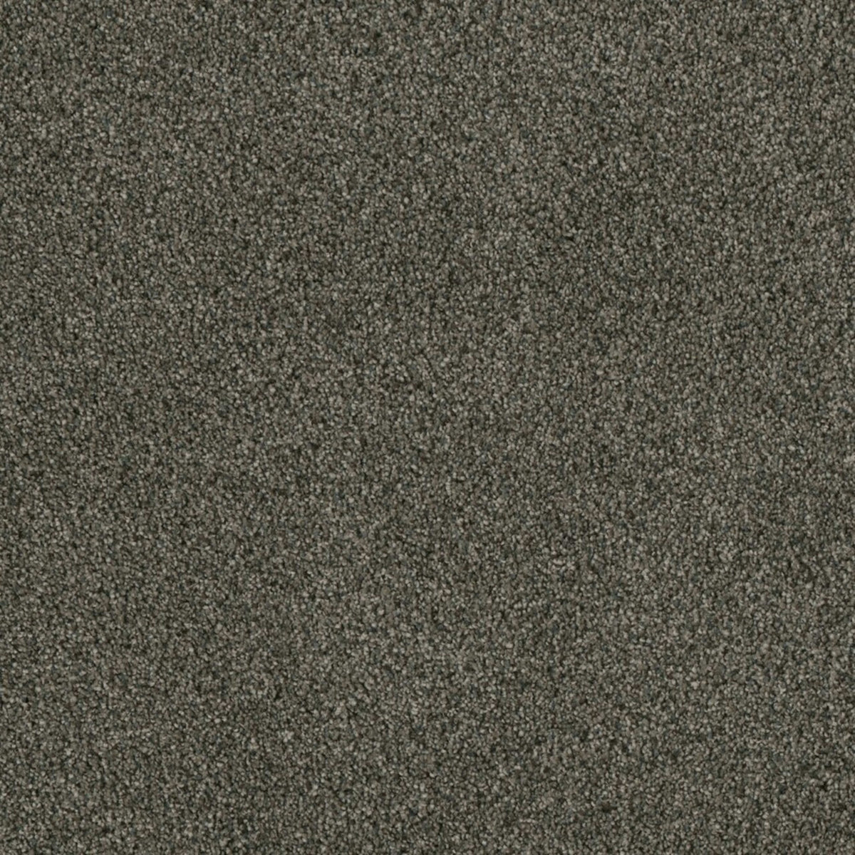 Profound I in Midnight Shadow Carpet