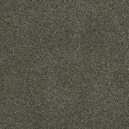 Profound I in Midnight Shadow Carpet