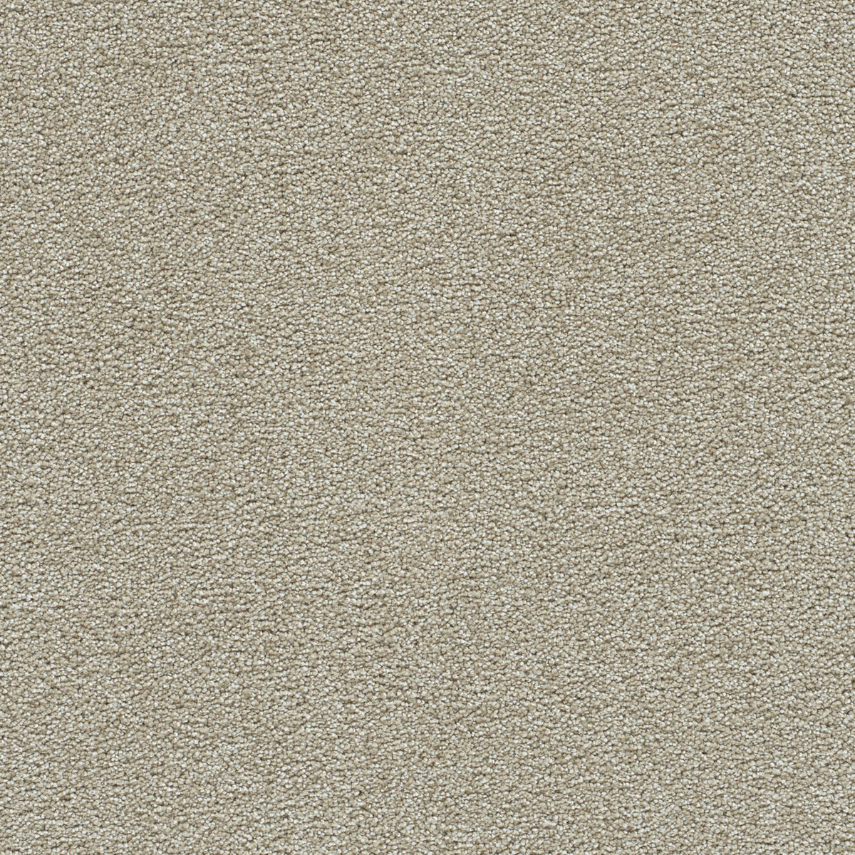 CLEARWATER II in Wheat Grass Carpet