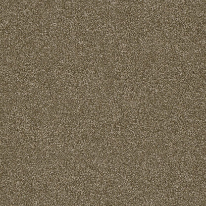 Profound III in Quail Carpet