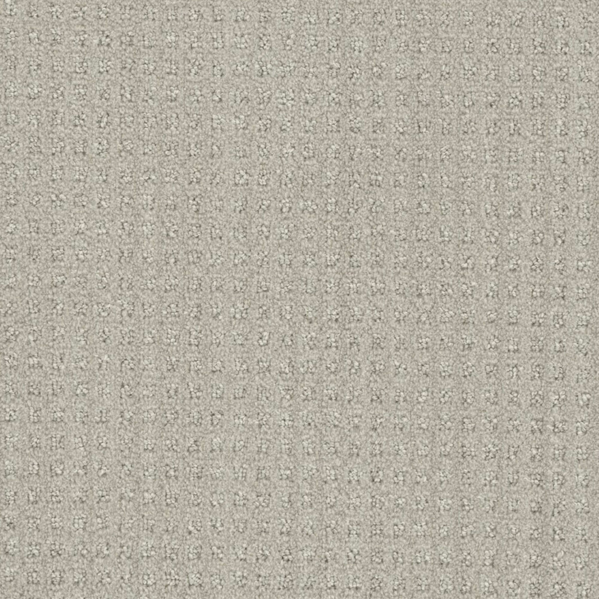Emerson in Stone Spinning Carpet