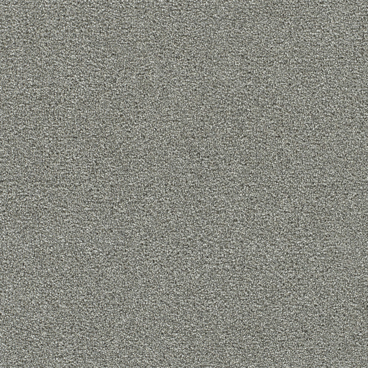 Clearwater III in Chilly Night Carpet