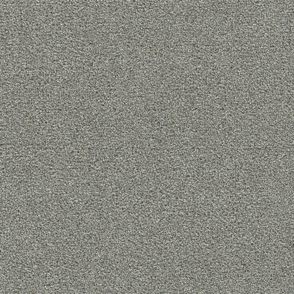 Clearwater III in Chilly Night Carpet