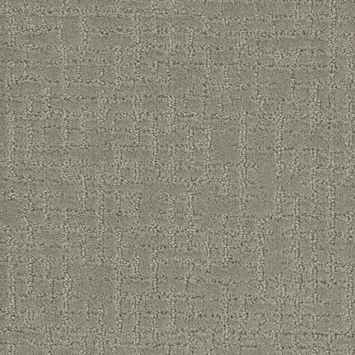 Close Knit in Graystone Carpet