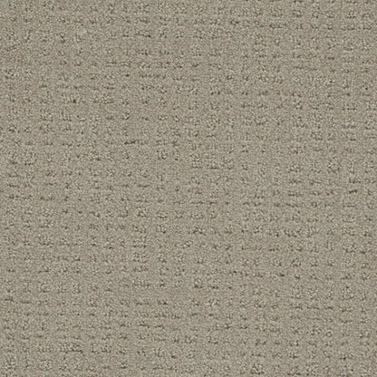 Step By Step in Beach House Carpet