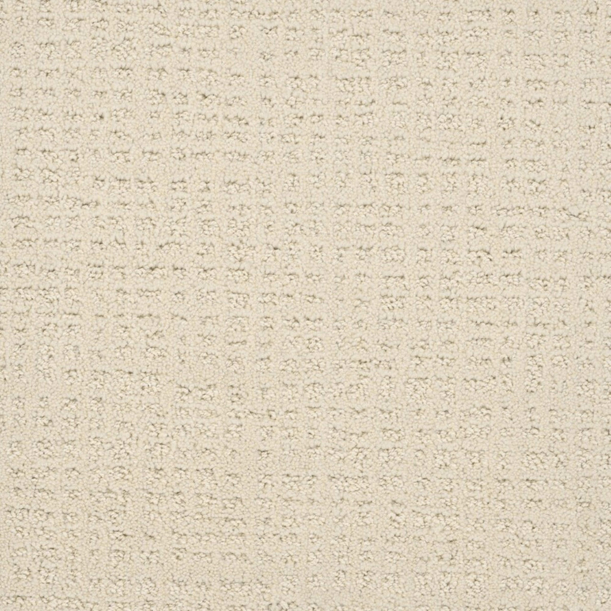 In Style in Vanilla Whip Carpet