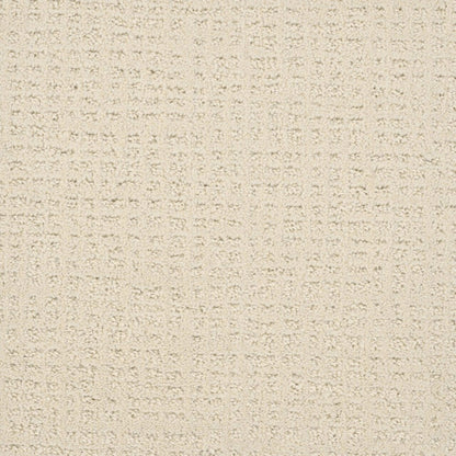 In Style in Vanilla Whip Carpet