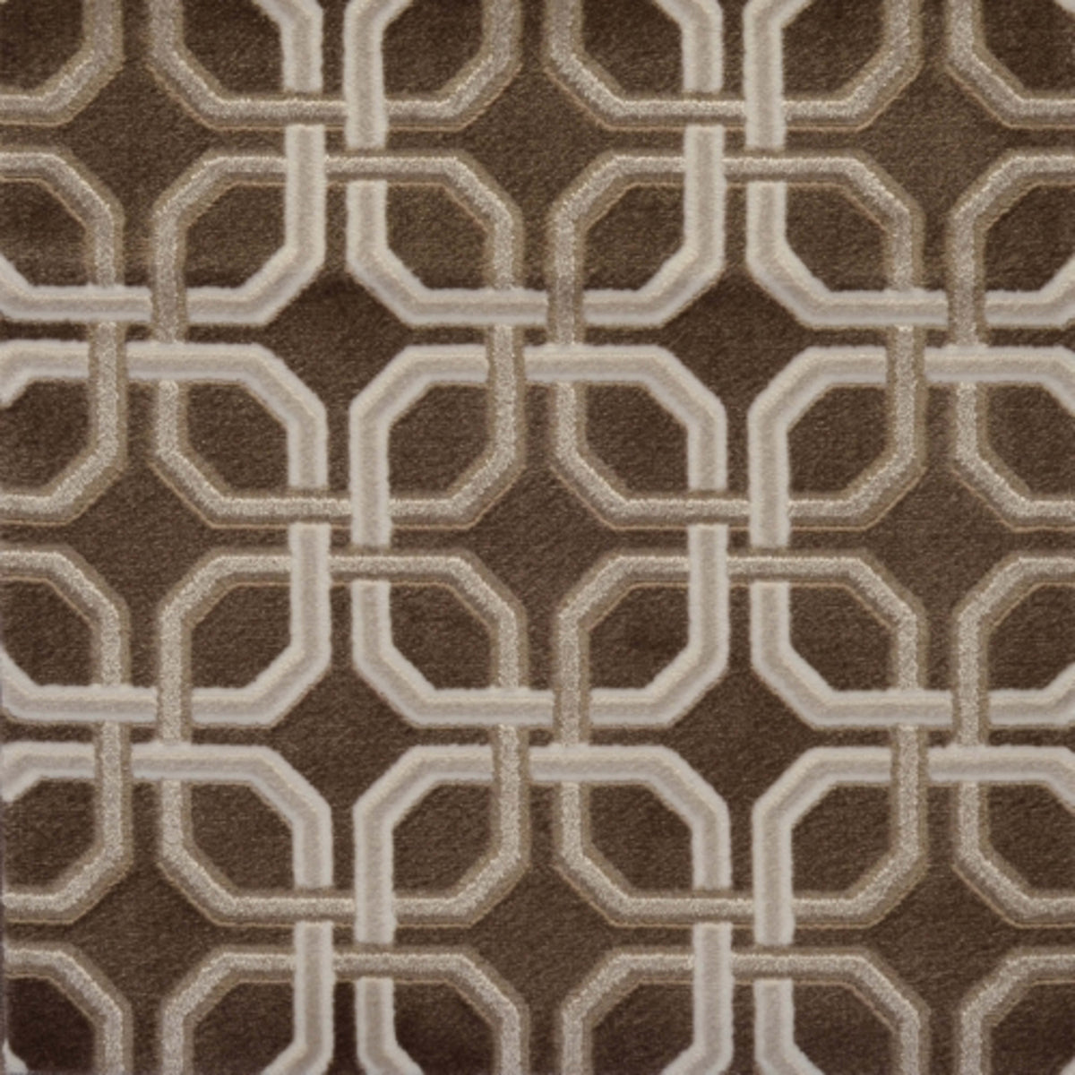 Zaria in Guardian Carpet