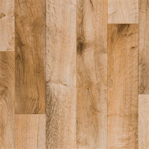 Easy Living in Arizona Tan Vinyl Sheet Goods