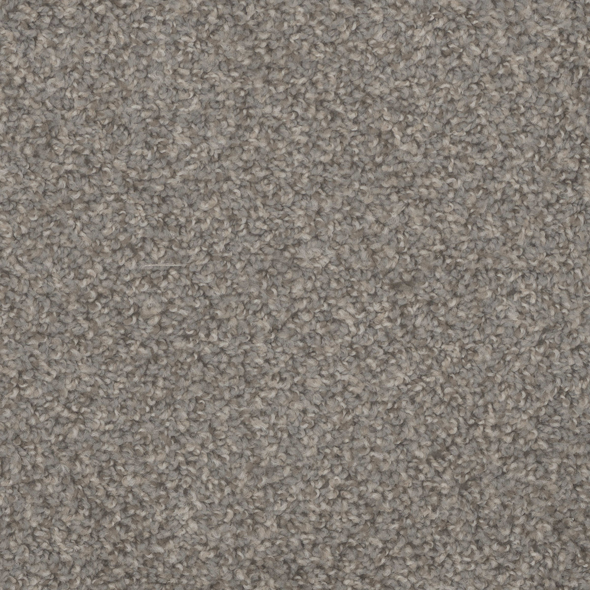 Step Up in Stonehenge Carpet