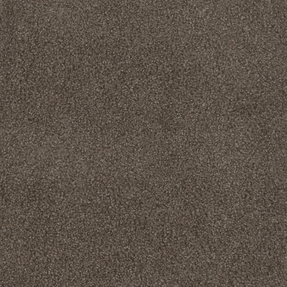 Step Up