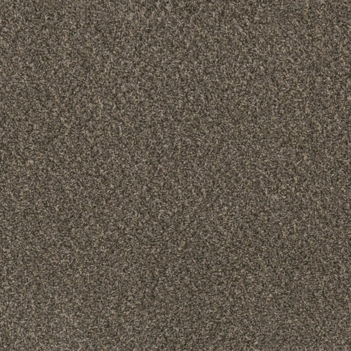 Hot Pursuit in Ironside Carpet