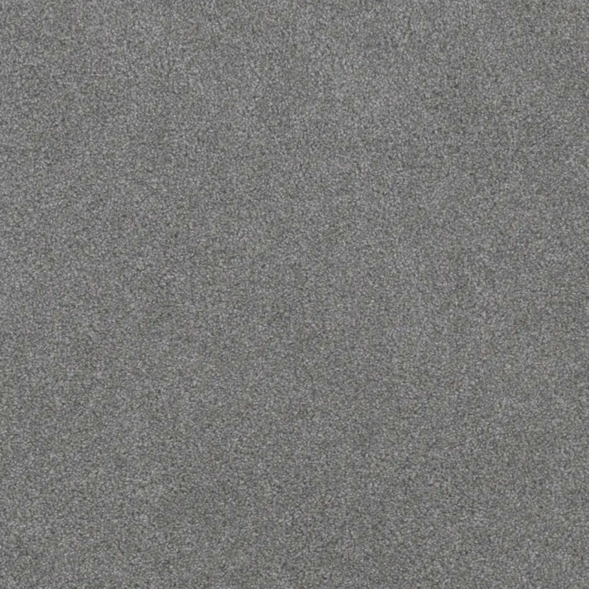 Beach Club II in Sapphire Carpet