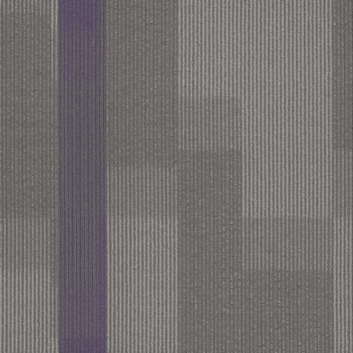 Amplify Tile