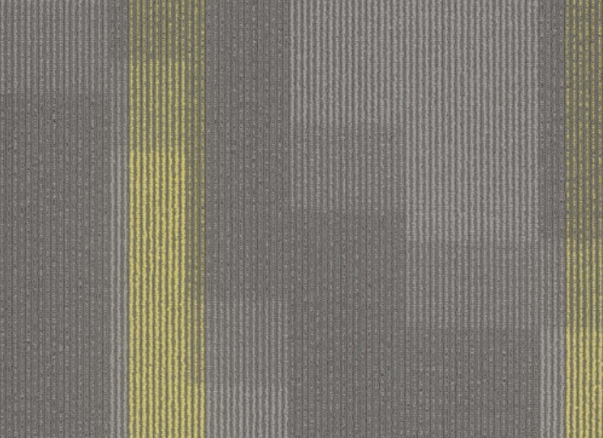 Amplify Tile