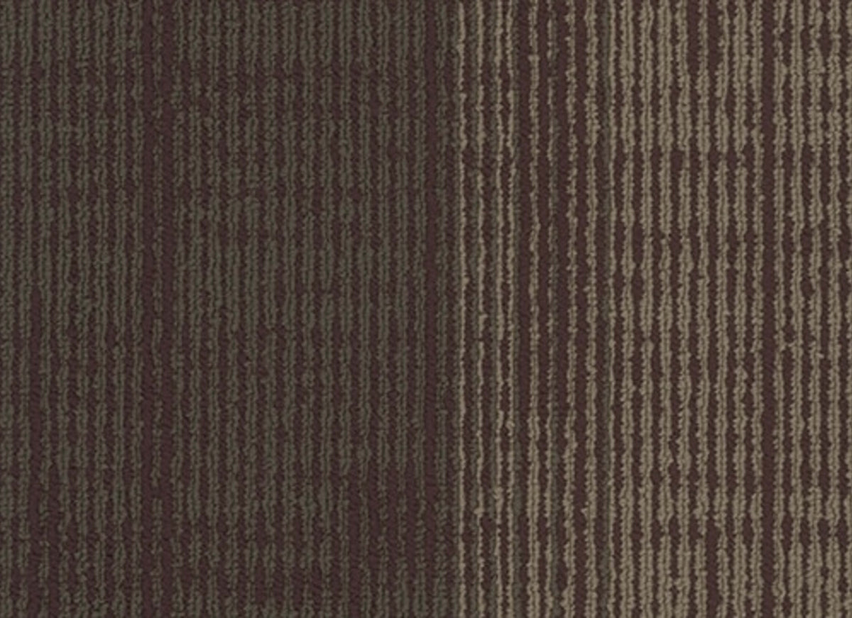 Element Plank
