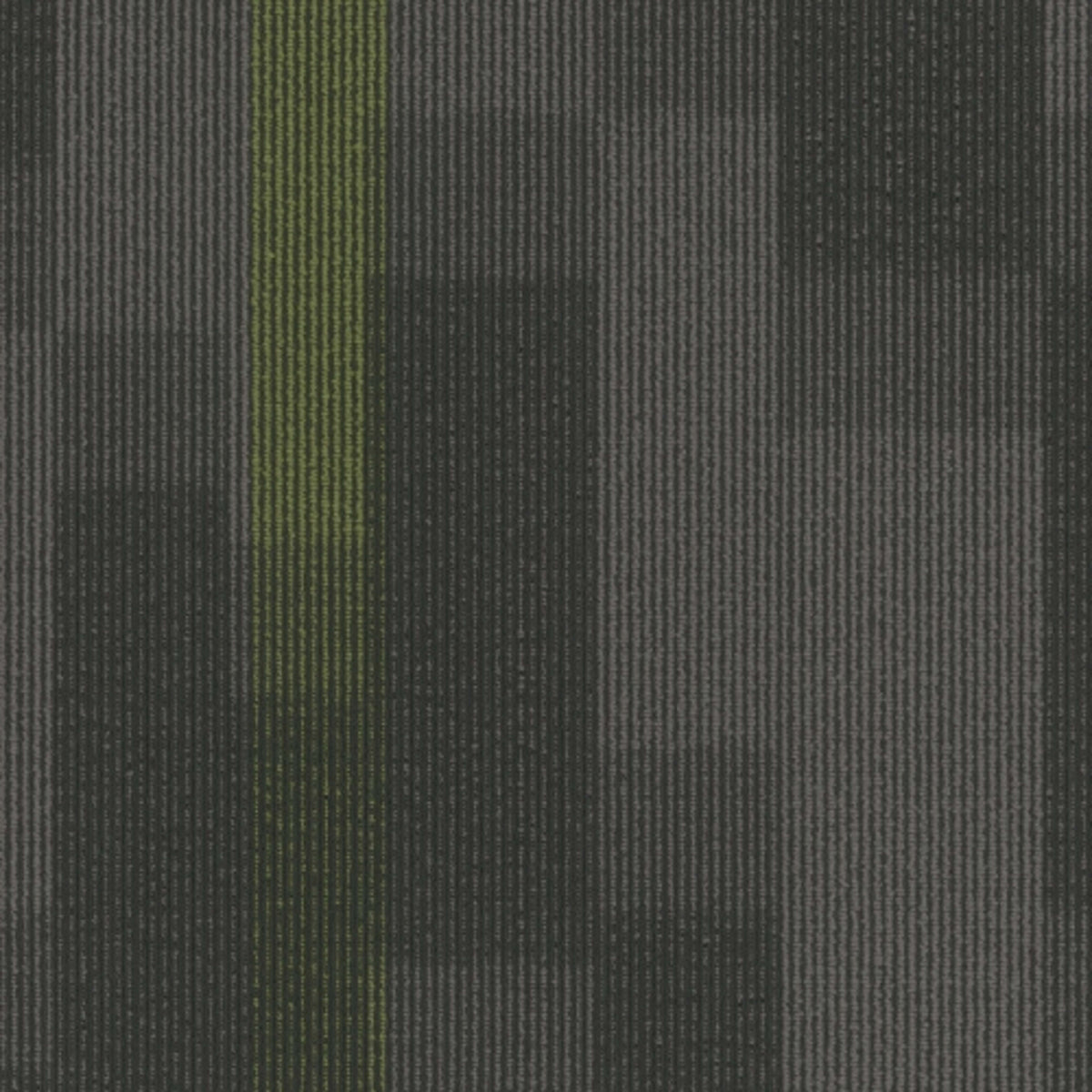 Magnify Tile