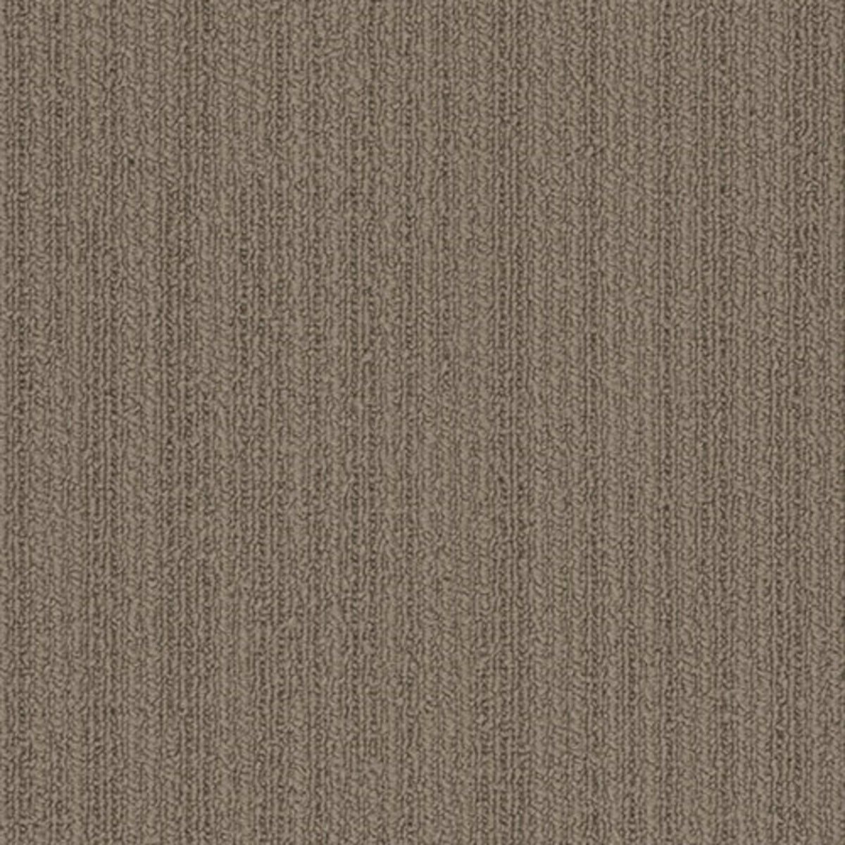 Colorpoint Plank